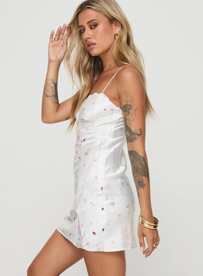 Snowbird Mini Dress White / Floral